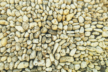 Sea pebbles. Background of pebbles. Sea shore. 