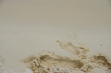 The view of the beach and sand on Koh Rong island in Cambodia