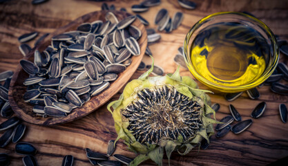 Sonnenblume (Helianthus annuus)