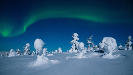 Spectacular Northern lights, Aurora borealis display during a cold and freezing winter night over...