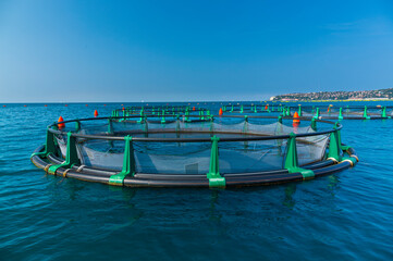 Seabass farm, Sečovlje Saline Nature Park, Slovenia, Europe