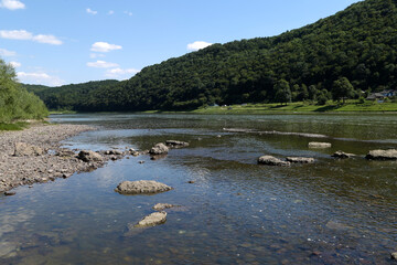beautiful summer river landscape