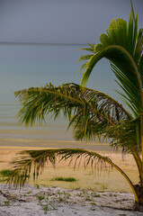 Fototapeta premium The view of the Pagoda beach and the sea on Koh Rong island in Cambodia