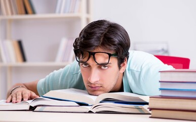 Young handsome student preparing for school exams