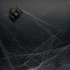 Decoration of artificial spider web and spiders over black background. Happy halloween and horror...