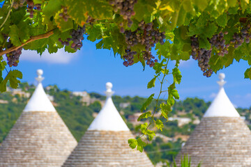 Group of beautiful Trulli, traditional Apulian dry stone hut old houses with a conical roof in...