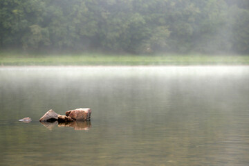 Fototapeta premium stones in the river in the fog