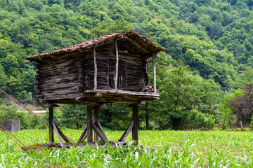 A hut on chicken legs surrounded by greenery