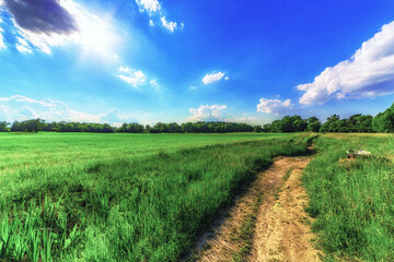Trail over a green meadow against blue sky
