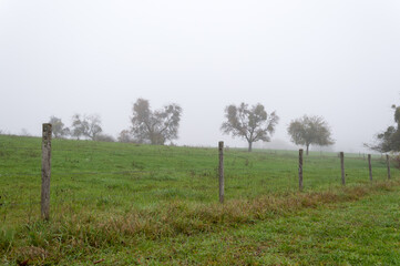 Fototapeta premium bright sun light through morning mist on meadow