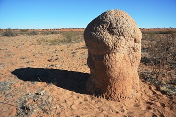 Termitenhügel in der Kalahari in Namibia.