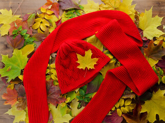 Autumn Background Concept, Top View of Red Scarf and Hat Over Yellow Leaves on Wooden Surface