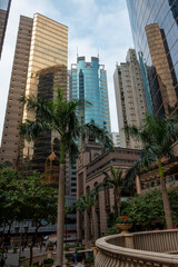 Palm trees in front of skyscrapers in Hong Kong