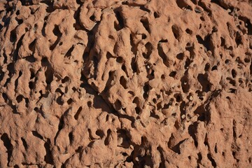 Termitenhügel in der Kalahari in Namibia.