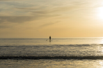 person doing paddle surfing in the sea during the sunset