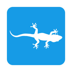 Silueta de lagarto en cuadrado de color azul