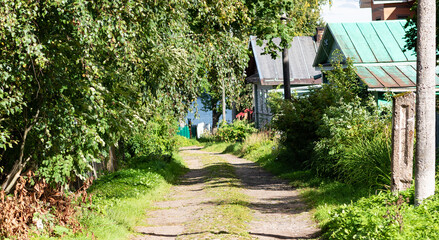 Rustic view on the lake with road
