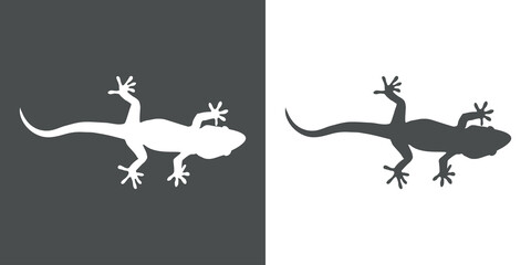 Silueta de lagarto en fondo gris y fondo blanco