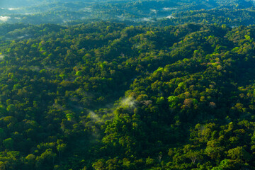 Naklejka na ściany i meble Corcovado National Park, Osa Peninsula, Puntarenas Province, Costa Rica, Central America, America