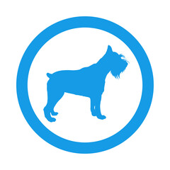 Razas de perros. Silueta de perro schnauzer miniatura de pie en círculo color azul