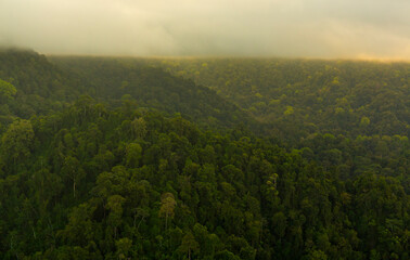 Fototapeta na wymiar Corcovado National Park, Osa Peninsula, Puntarenas Province, Costa Rica, Central America, America
