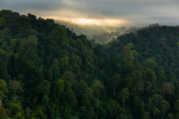 Corcovado National Park, Osa Peninsula, Puntarenas Province, Costa Rica, Central America, America