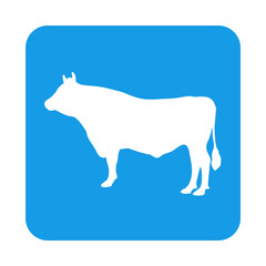 Animales de granja. Silueta de toro de raza guernsey en cuadrado color azul
