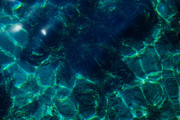 
algae under water in the turquoise sea