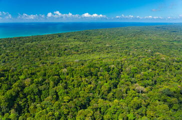 Corcovado National Park, Osa Peninsula, Puntarenas Province, Costa Rica, Central America, America