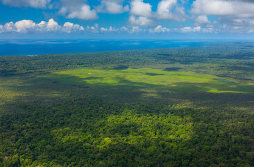 Corcovado National Park, Osa Peninsula, Puntarenas Province, Costa Rica, Central America, America