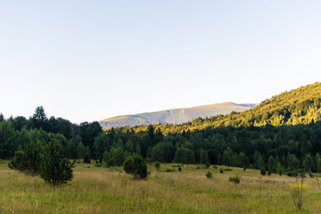 Traveling by the Carpathians. Polonyna Runa, Gostra, and other peaks. Spring, Summer and Autumn rest in the Carpathians. Green, Blue colors. Forest and meadows.