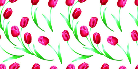 Flowers tulips seamless pattern, decorative design, vector illustration