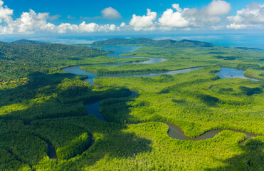 Aerial view of Delta Sierpe River Terraba, Corcovado National Park, Osa Peninsula, Puntarenas...