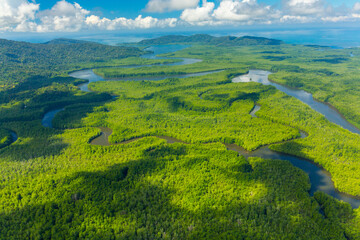 Aerial view of Delta Sierpe River Terraba, Corcovado National Park, Osa Peninsula, Puntarenas...