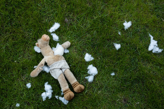 eviscerated camel dog toy on the grass
