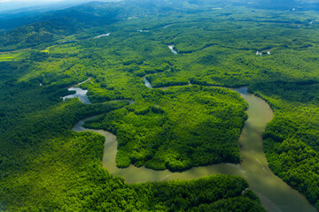 Aerial view of Delta Sierpe River Terraba, Corcovado National Park, Osa Peninsula, Puntarenas...