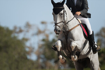 Jockey on her horse leaping over a hurdle, jumping over hurdle on competition