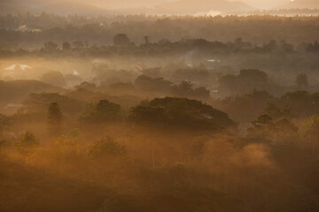 Sunlight in the morning time 