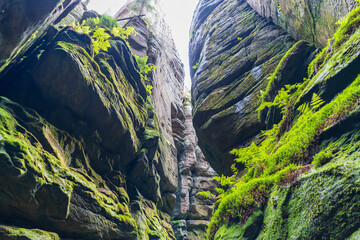Adršpach-Teplice Rocks in northeastern Bohemia, Czech Republic.