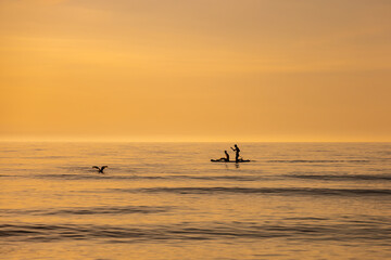 Surfer and sunset over the north sea © S.T.A.R.S