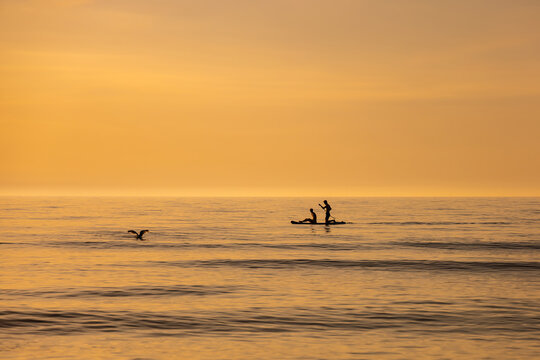 Surfer and sunset over the north sea