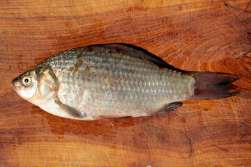 fresh fish on wooden board