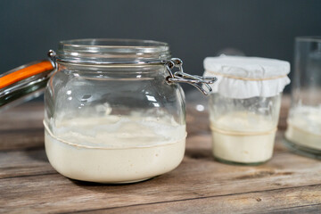 Sourdough starter