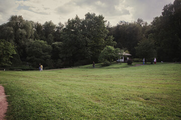 
Summer landscape. Nature in the city park.