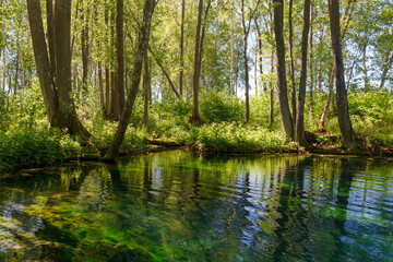 Emerald colored freshwater springs. Puhatu allikad (Sacred springs), Saaremaa, Estonia.