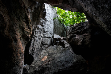 Above-ground caves near Cairns, Australia