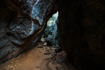 Above-ground caves near Cairns, Australia