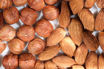 Dried almonds and hazelnuts