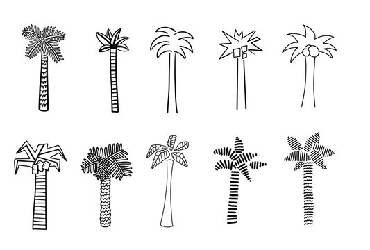 Set of monochrome palm tree illustrations. Isolated design elements for logo, label, emblem, sign, poster, card, banner. Vector image