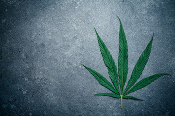 Cannabis (marijuana) leaves on a dark background. Medical marijuana (hemp) and products  with...
